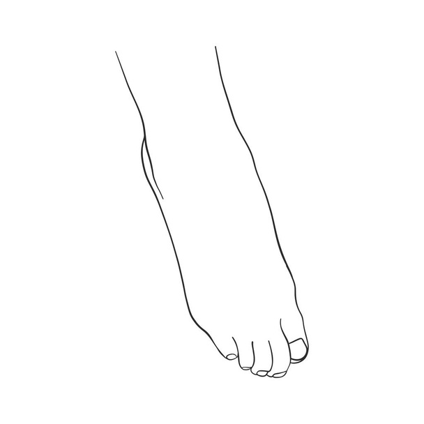руки намальовані жінки ноги
 - Вектор, зображення