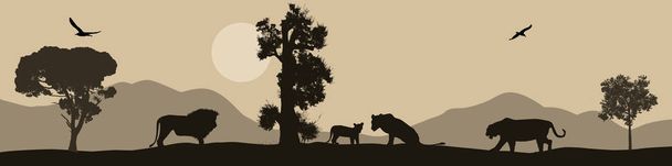 Silhouette di leoni sul paesaggio della savana africana
 - Vettoriali, immagini