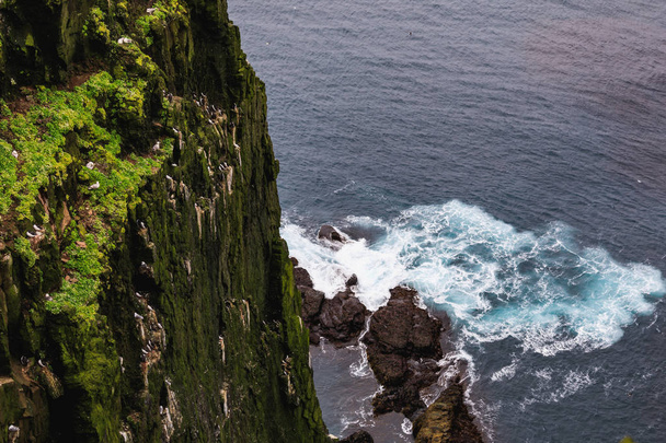 Upea latrabjarg kallioita euroopan suurin lintu kallio
 - Valokuva, kuva