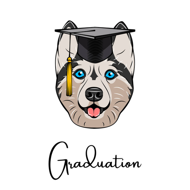 Siberian Husky Graduate. Graduation hat cap. Dog portrait. Vector. - Wektor, obraz