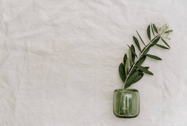 Olivenzweige in Glasflaschen über einer Tischdecke aus Leinen. Manimalismus  - Foto, Bild