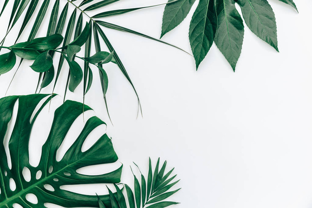 Flat lay trendy Tropical summer background, fern leaves set in the frame around blank space for a text - Φωτογραφία, εικόνα