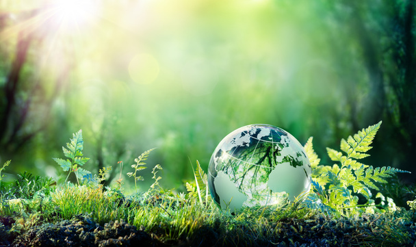 Globe On Moss In Forest - Concept environnemental
 - Photo, image
