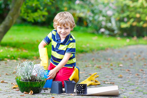 Hauska pieni poika poika istuttaa kukkia puutarhassa sprinig
 - Valokuva, kuva