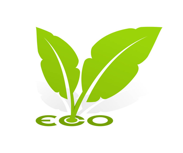 Logo Eco with green leafs  - Vector, Image