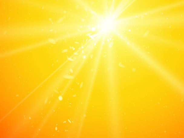 sun light rays and dust vector background - Vector, Image