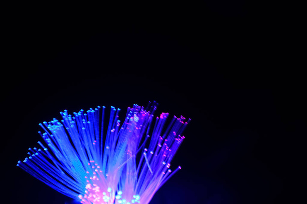 Ethernet-kabel optische vezel tegen zwarte achtergrond - Foto, afbeelding