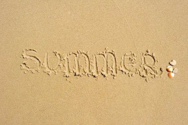 Kelime "yaz" kuma yazılmıştır; yazılı yanında döşeme bazı kabukları.  - Fotoğraf, Görsel