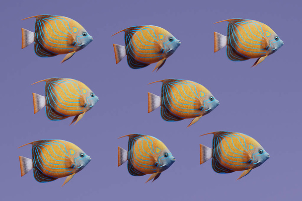 Realistické 3d vykreslení modrý kroužek Angel ryb - Fotografie, Obrázek