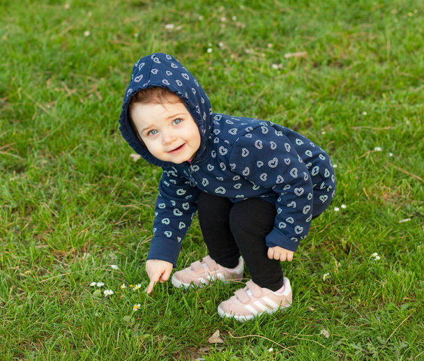kleines Mädchen spielt im Park und sammelt Gänseblümchen - Foto, Bild