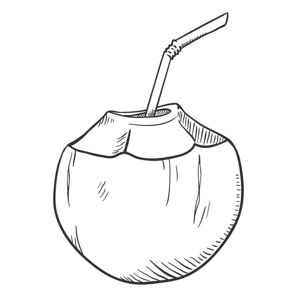 Vector Cartoon Illustration of Green Coconut Cocktail with Drinking Straw - Vector, Image