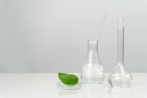 groene blad met laboratoriumglaswerk en -apparatuur - Foto, afbeelding