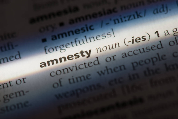 Palabra de amnistía en un diccionario. Concepto de amnistía
 - Foto, Imagen