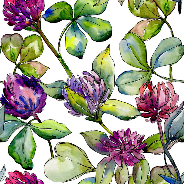 Fiore di trifoglio di fiori selvatici in un modello in stile acquerello
.  - Foto, immagini