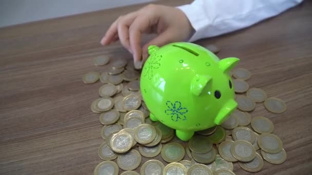Making Money Concept. Piggy Bank. - Footage, Video