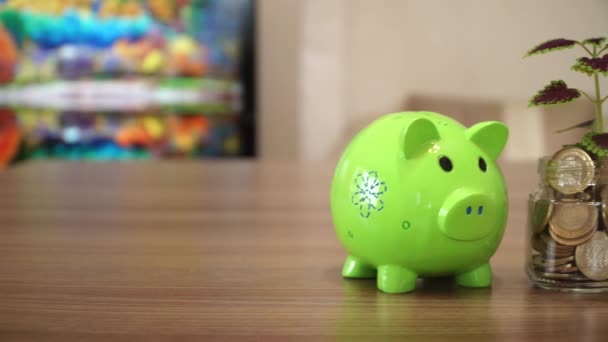 Piggy Bank and Planting Coin Tree - Footage, Video