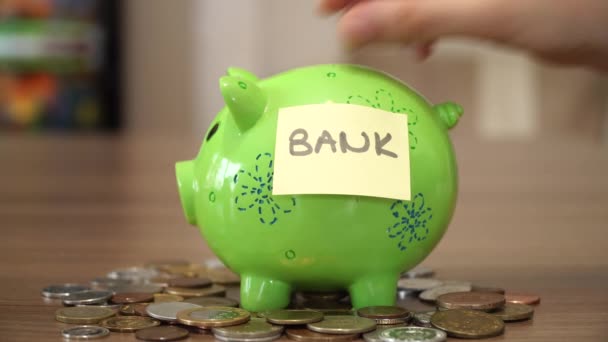 Money for Future. Piggy Bank. - Footage, Video