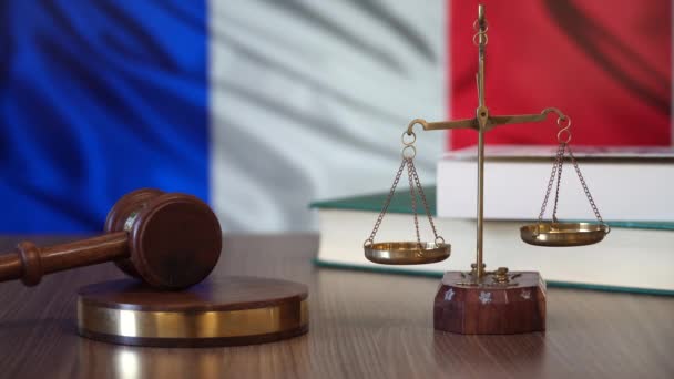 Obowiązujących przepisów Francja francuski Trybunał Sprawiedliwości - Materiał filmowy, wideo