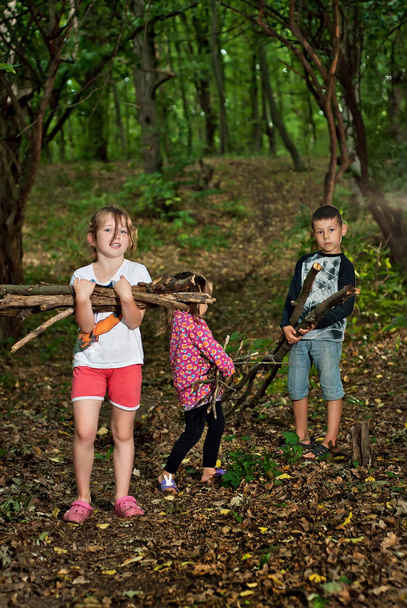 children collect firewood in the woods - Foto, afbeelding