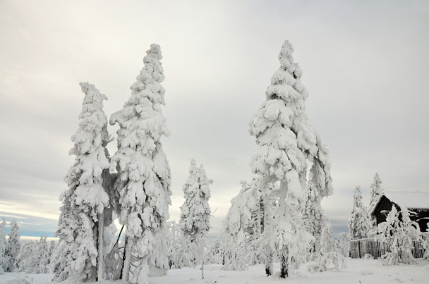 Paysage hivernal en République tchèque montagne KlXonovec
 - Photo, image
