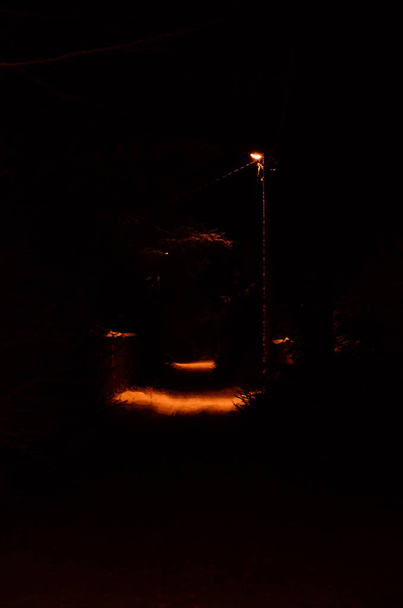 The lamppost illuminates a small spot on the dark footpath in the night - Фото, зображення
