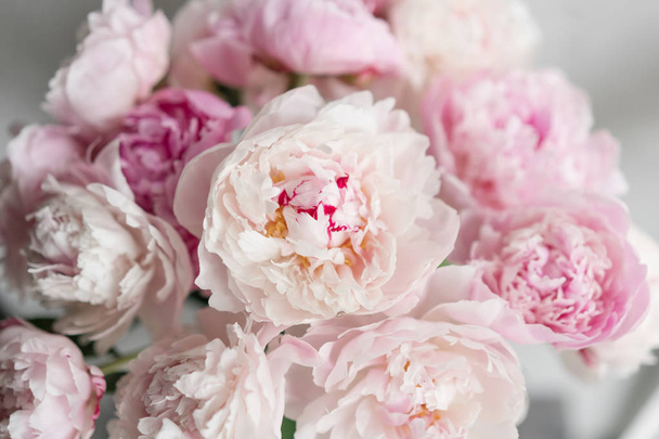 可愛くて素敵な牡丹。多くは花弁を階層化します。淡いピンクの牡丹の花の明るい灰色の背景を束します。壁紙 - 写真・画像