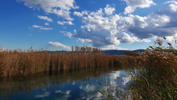 Вид из зеркала средиземноморской реки и болот вокруг нее. Снимок сделан в Акяке (залив Гокова, Эгейское море) в осенний день
. - Кадры, видео
