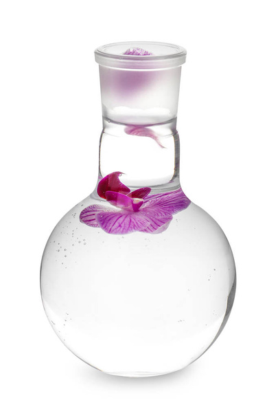Скляна колба з квіткою на білому тлі
 - Фото, зображення