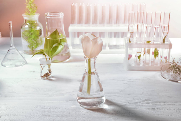 Glass flask with flower on table - Φωτογραφία, εικόνα