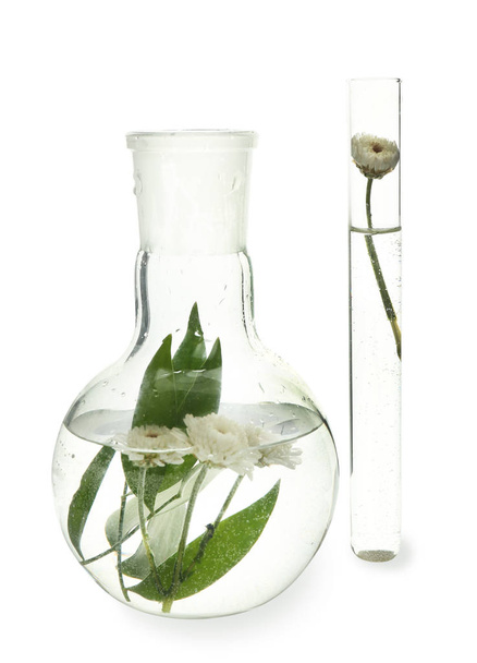 Test tube and flask with flowers, isolated on white - Zdjęcie, obraz