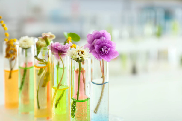 Flowers in test tubes on blurred background - Фото, зображення