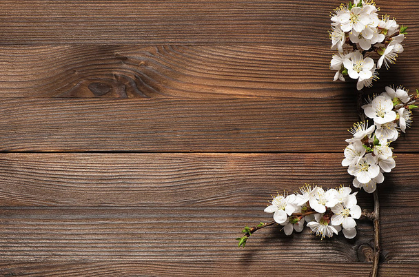 Virágzó ága, sárgabarack, rusztikus, fából készült háttér.  - Fotó, kép