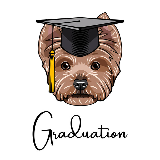 Yorkshire Terrier dog graduate. Graduation cap hat. Dog portrait. Vector. - Wektor, obraz