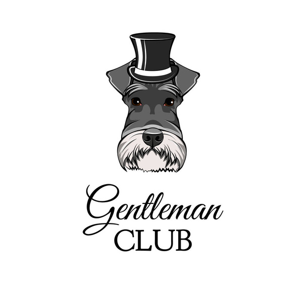 Schnauzer Dog Gentleman. Top hat. Dog portrait. Gentleman club lettering. Vector. - Vector, Image