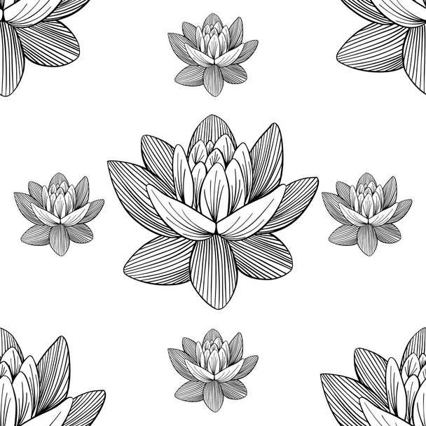 Lotus lily water patroon - Vector, afbeelding