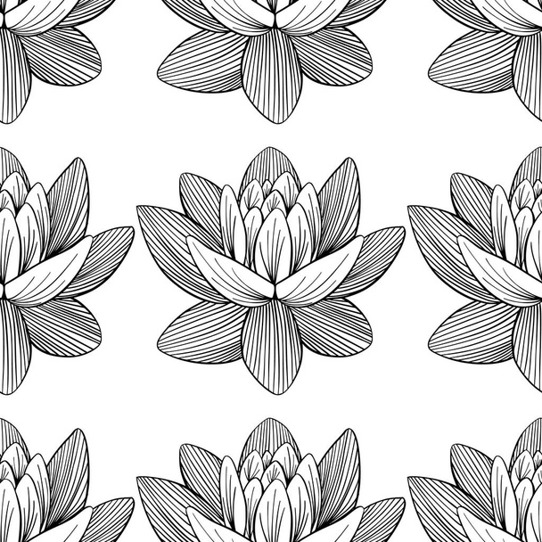 Lotus lily water pattern - Vector, Image