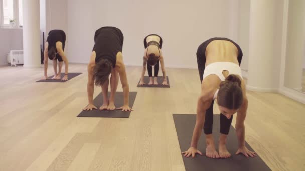 Yoga class. People practicing yoga. Sun salutation - Video, Çekim