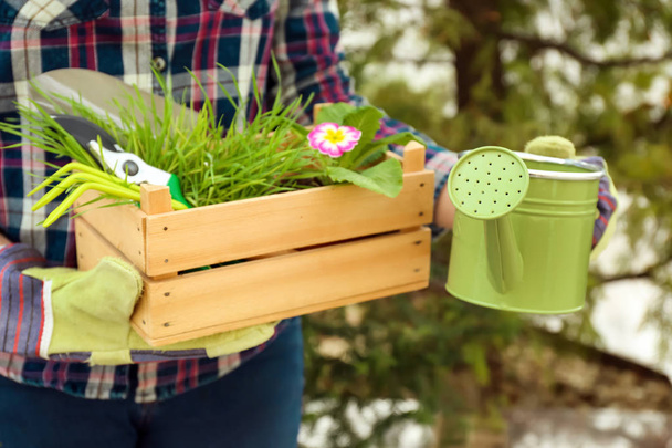 Женщина держит лейку и деревянный ящик с зелеными растениями на открытом воздухе
 - Фото, изображение