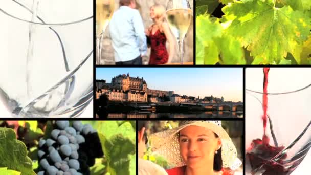 συλλογή του κρασιού και της αμπέλου πλάνα - Πλάνα, βίντεο