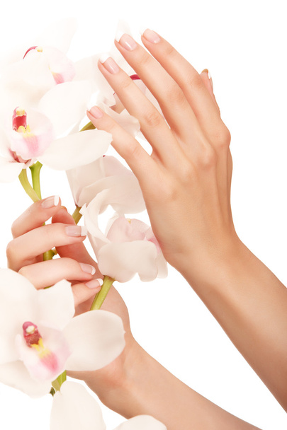 Hand and orchid - Foto, Bild