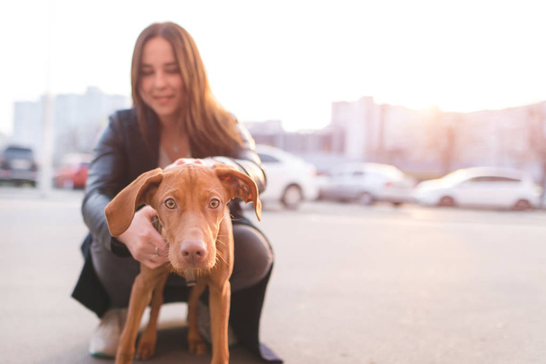 Lány egy furcsa fiatal kutya tart. Tulajdonos és a kiskutya, a háttérben a naplemente a város táj. A hangsúly a kutya. A koncepció a háziállatok. - Fotó, kép