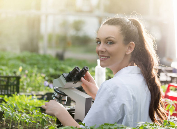 Agronomist with microscope in greenhouse - Fotoğraf, Görsel