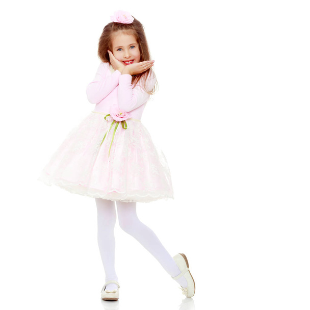 Elegant little girl in a pink dress. - Fotografie, Obrázek