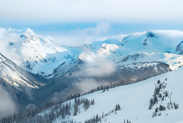 Pinheiros de inverno em montanhas
 - Foto, Imagem