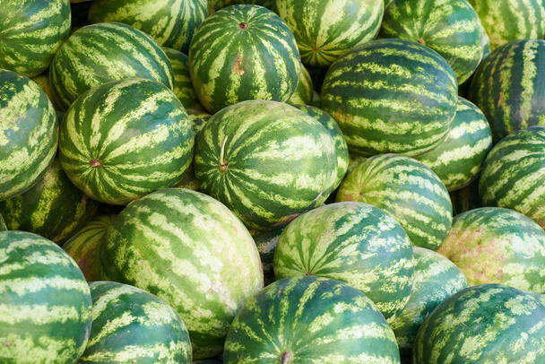 zöld görögdinnye - Fotó, kép