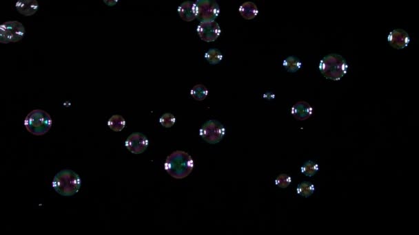burbujas de jabón sobre fondo negro - Imágenes, Vídeo