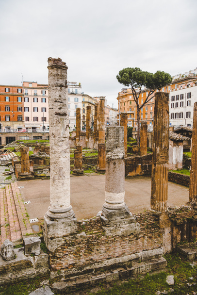 rovine del forum romano il giorno nuvoloso, Roma, Italia
 - Foto, immagini