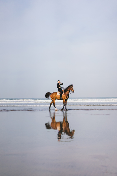 distant view of female equestrian riding horse on beach  - Photo, Image