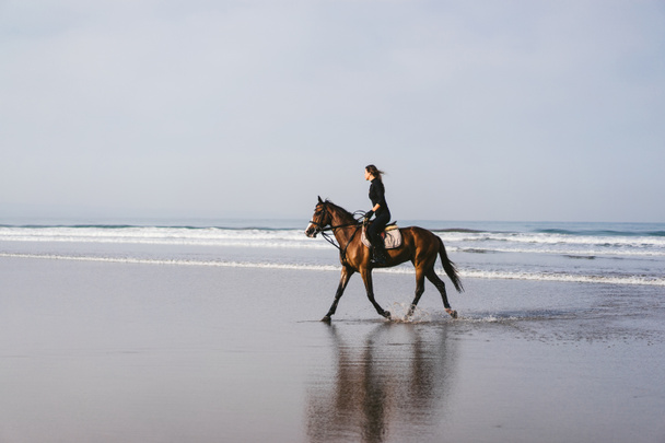 side view of young female equestrian riding horse on sandy beach  - Fotó, kép