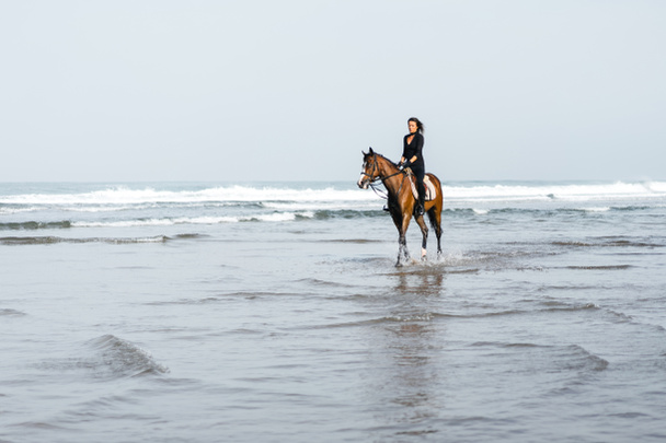 vzdálený pohled na ženské jezdecké jezdecké koně ve vodě  - Fotografie, Obrázek